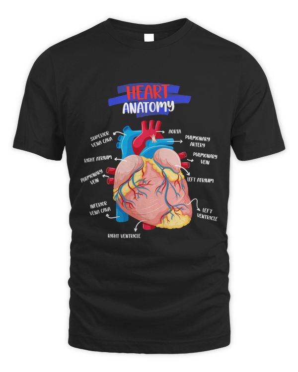 Anatomy Human Heart Anatomical Cardiac Heart Doctor Medical