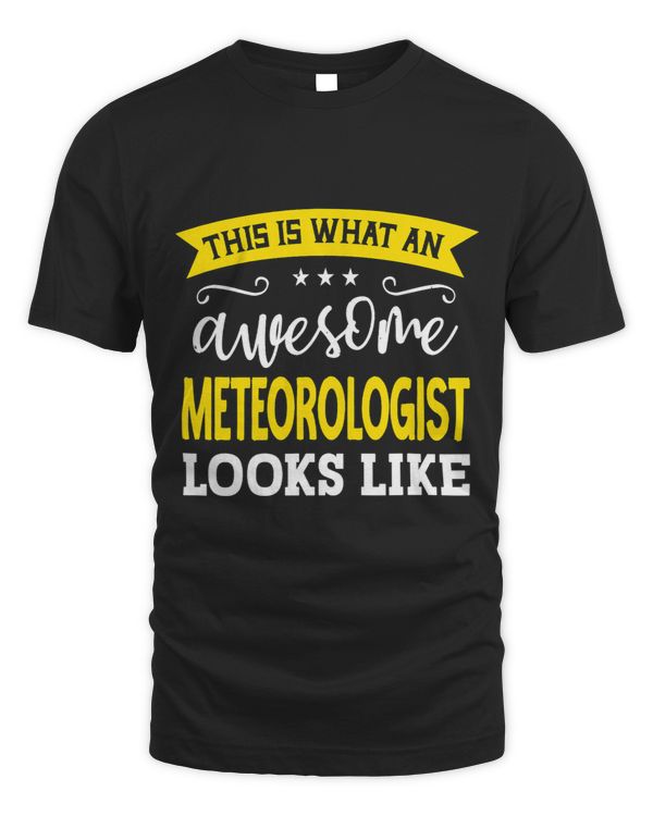 Meteorologist Job Title Employee Funny Worker Meteorologist