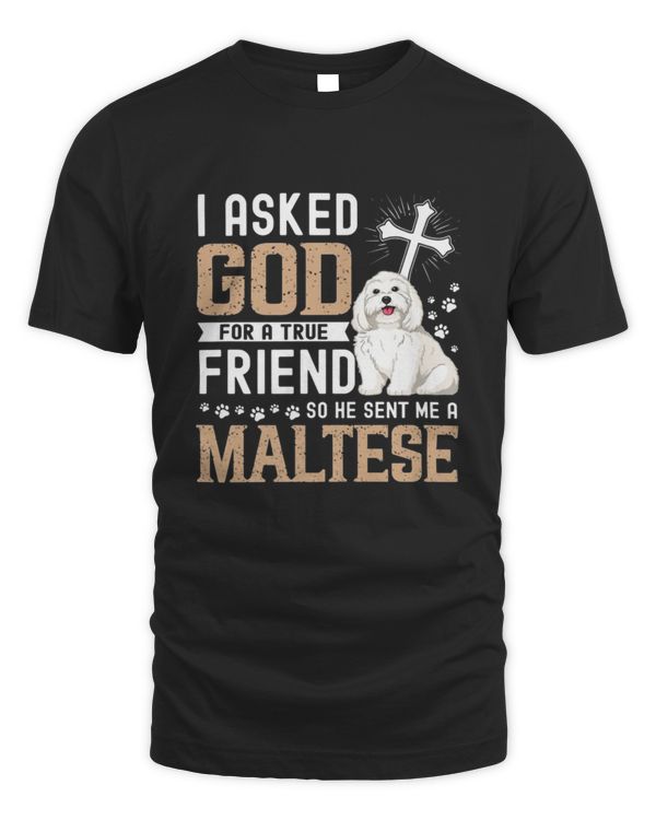 I Asked God For A True Friend My Dog Maltese T-Shirt