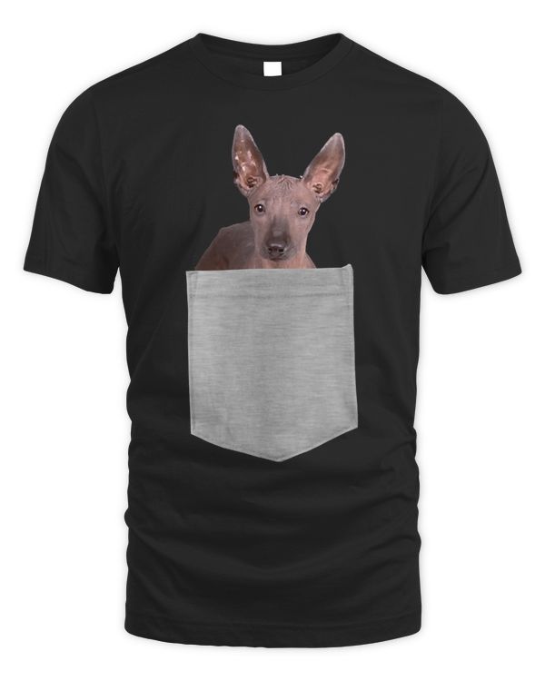 Dog in Your Pocket Xoloitzcuintli Pullover Hoodie