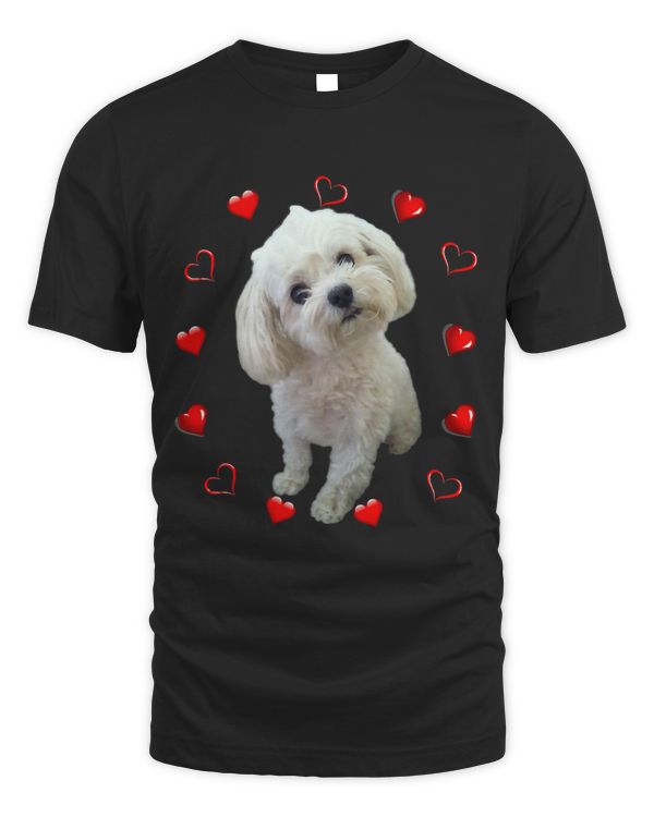Maltese Dog Lover Puppy Owner Maltipoo Mix Fans Hearts T-Shirt