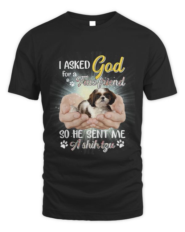 I Asked God For A True Friend So He Sent Me A Shih Tzu T-Shirt