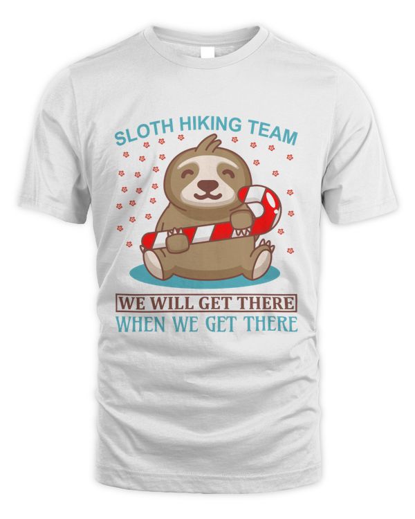 Lovely Sloth T-Shirt, Animal T-Shirt, Lovely Sloth Hoodie, Animal Hoodie, Nature Shirt  (13)