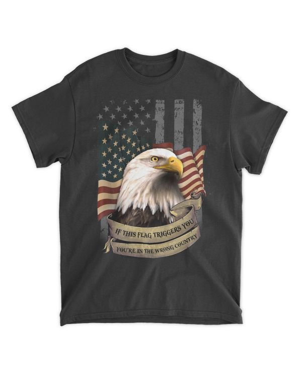 Eagle You're In The Wrong Country