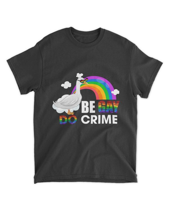 RD LGBT Shirt, Be Gay Do Crime Shirt, LGBTQ Ally Gay Pride Shirt, Racial Equality Shirt, Human Rights Shirt, Queer Shirt