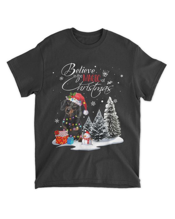 Dachshund Dog Believe in the Magic of Christmas Dog Lover