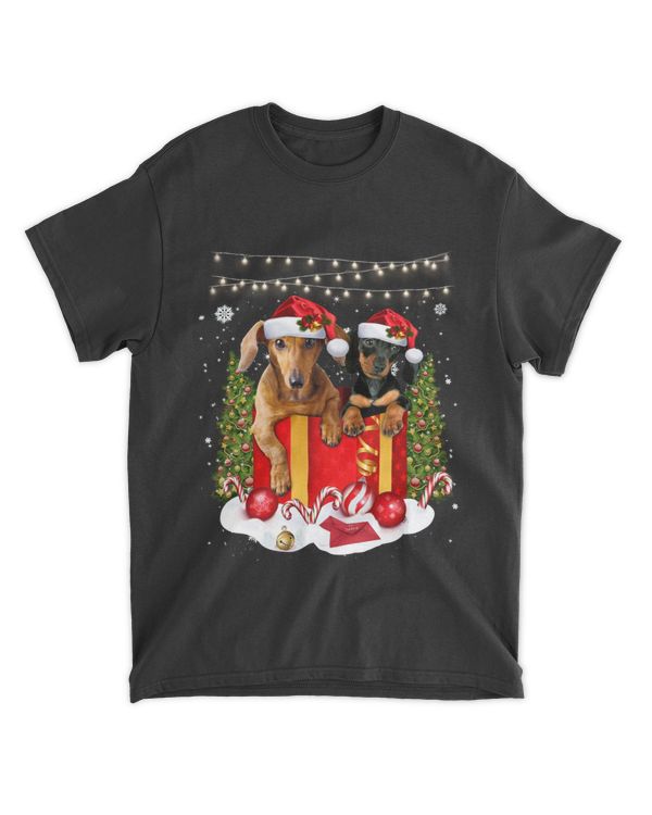 Dachshund Dog Christmas Gift Box Dachshund Lights Dog Lover
