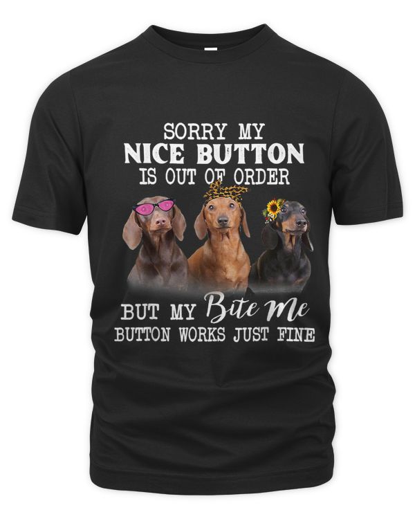 Sorry My Nice Button is Out of Order But My Bite Me Button 541