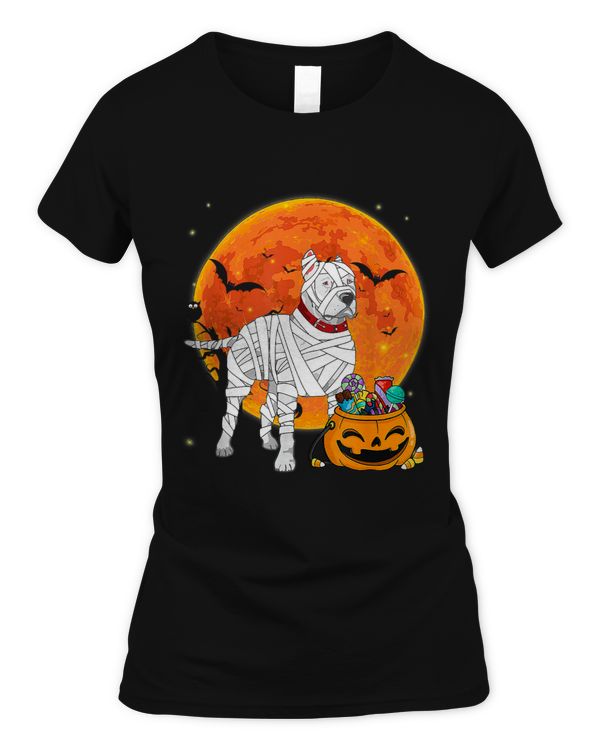 Women's Soft Style Fitted T-Shirt