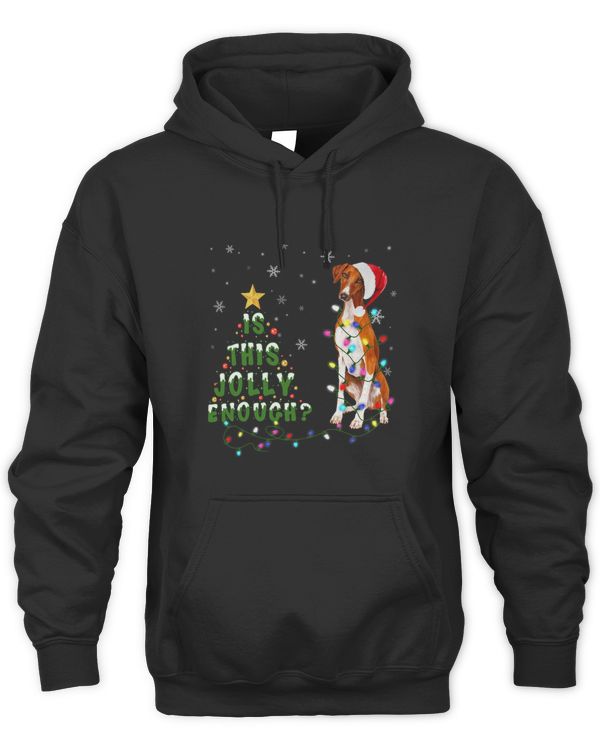 Is This Jolly Enough Santa Azawakh Light Christmas