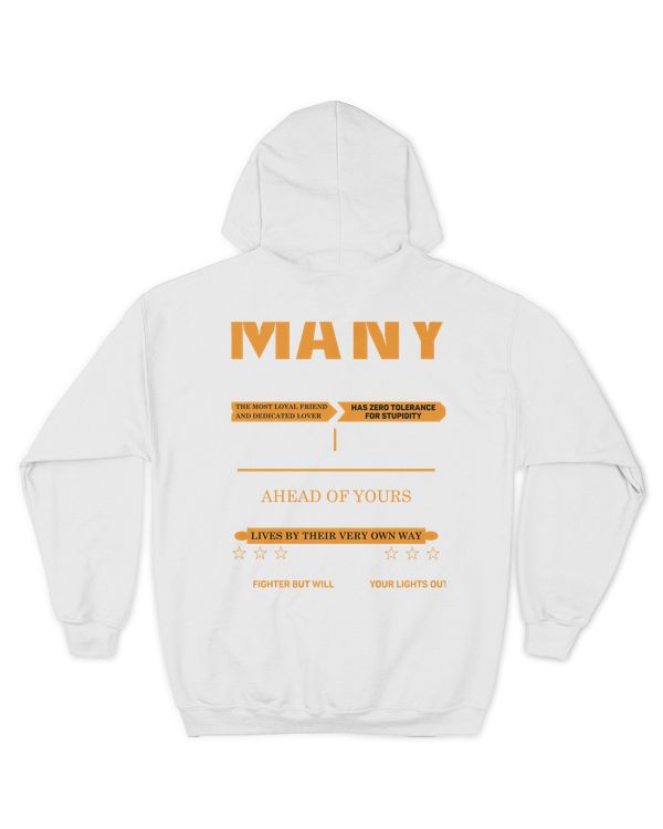 MANY-13K-N1-01