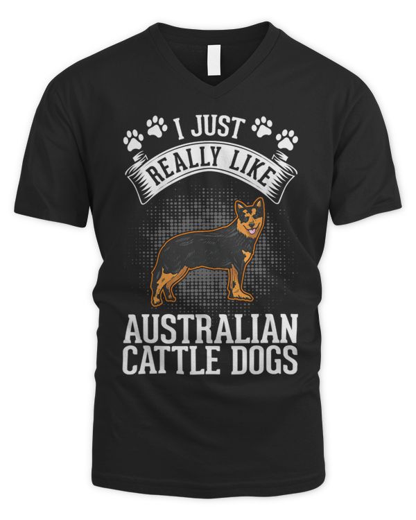 Men's V-Neck T-Shirt