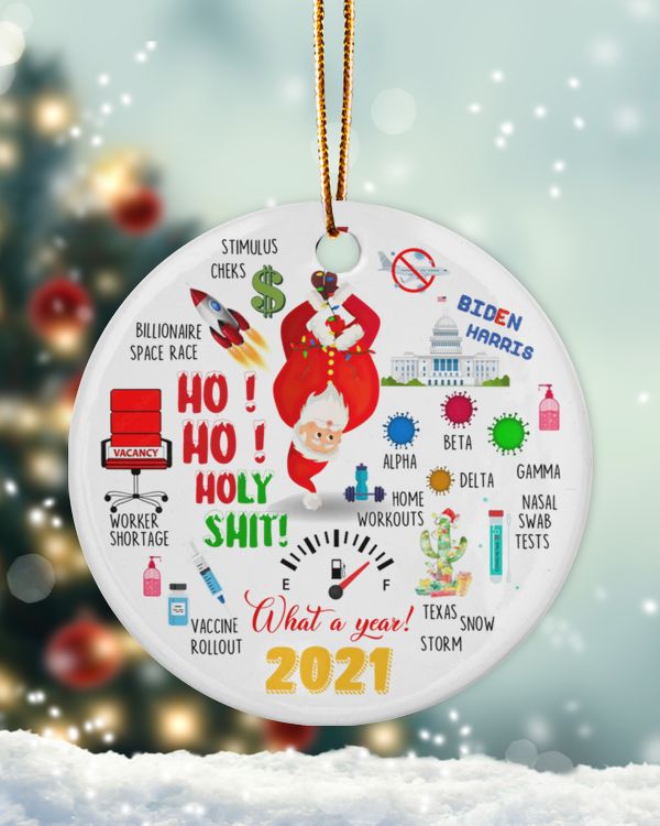 RD Christmas Ornament 2021, Holy Moly Holy Shit A Year To Remember, Pandemic Ornament, Funny Xmas Gifts